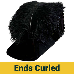 Riaz Impex Masonic Caps & Hats 6-5/8 / 4-PLY ends curled only - Standard Line Officer Knights Templar Illinois Regulation Chapeau – All Black Plumes