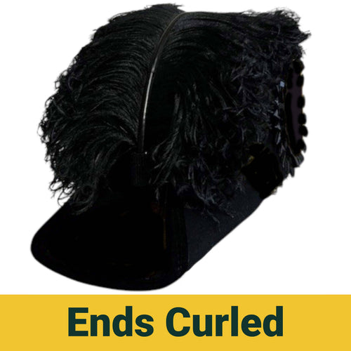 Riaz Impex Masonic Caps & Hats 6-5/8 / 4-PLY ends curled only - Standard Line Officer Knights Templar Illinois Regulation Chapeau – All Black Plumes