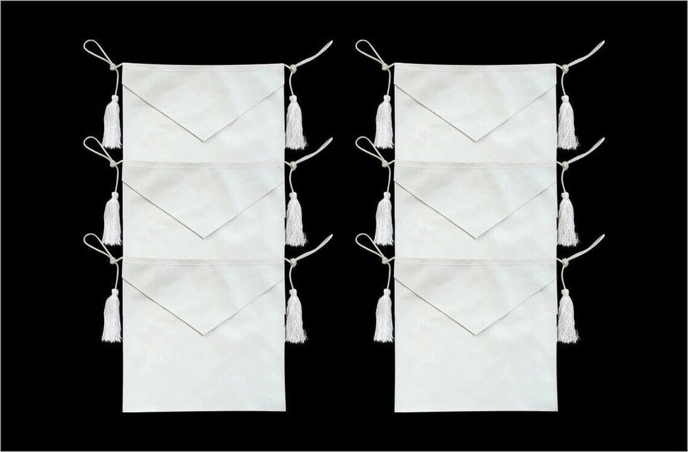 RIAZ IMPEX MASONIC REGALIA Masonic Candidate / Entered Apprentice Faux Leather Apron All White pack of 6