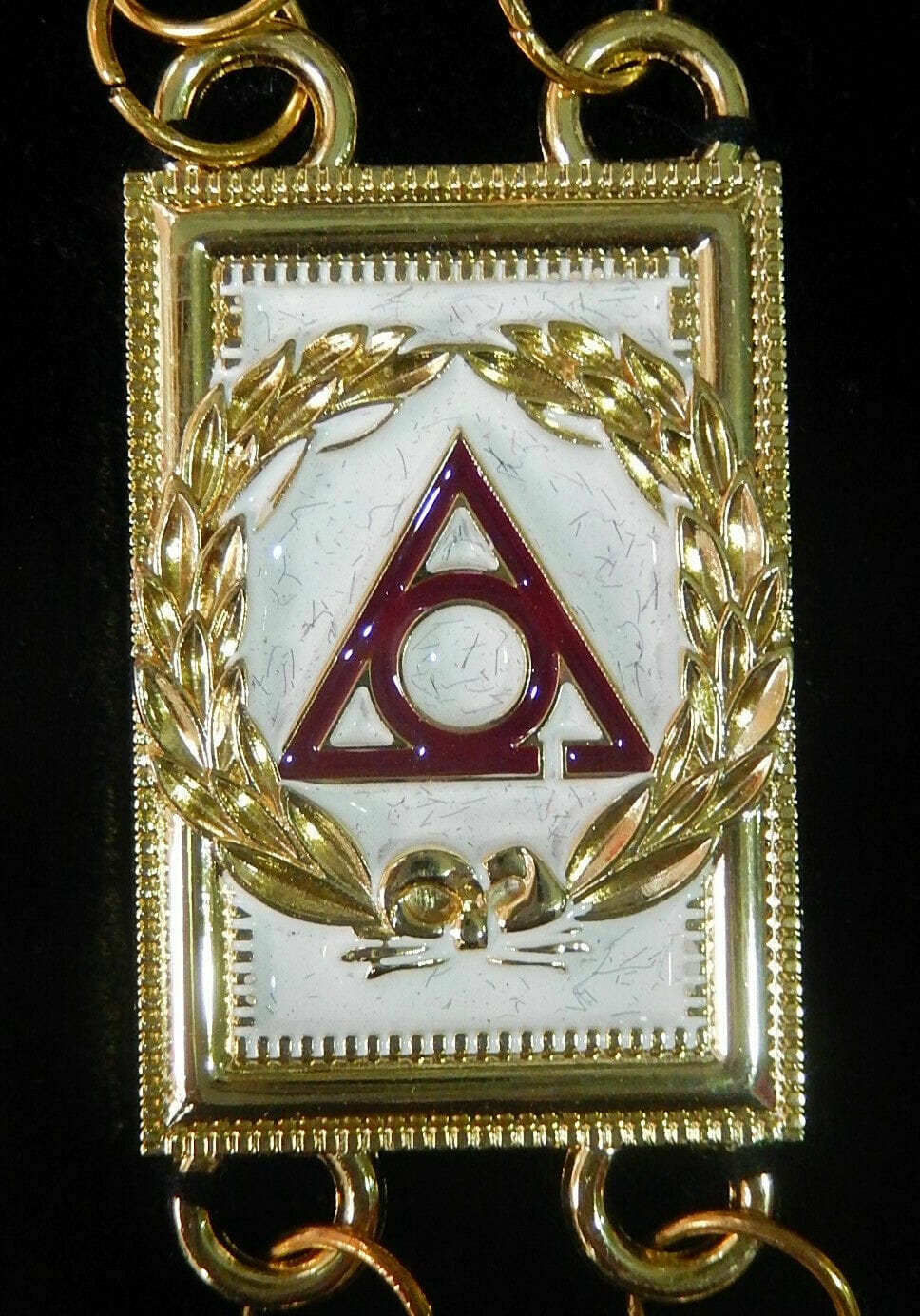RIAZ IMPEX MASONIC REGALIA Masonic Regalia Ladies of Circle of Perfection Dress Gold Metal Chain Collar