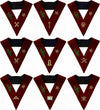 Masonic Scottish Rite 14th Degree Lodge of Perfection Collars – Set of 9